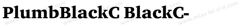 PlumbBlackC BlackC字体转换